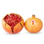 Granada Mollar de Elche